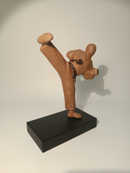 Taekwondo masculino