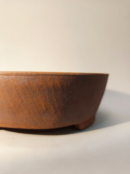 Maceta Bonsái · Kusamono MRZ250006