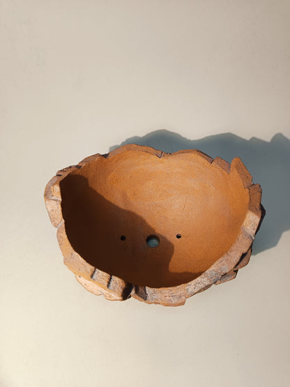 Maceta Bonsái ·Kusamono  MRZ250009