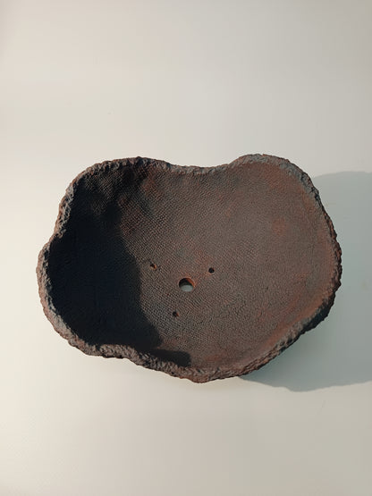 Maceta Bonsái ·Kusamono MRZ250010