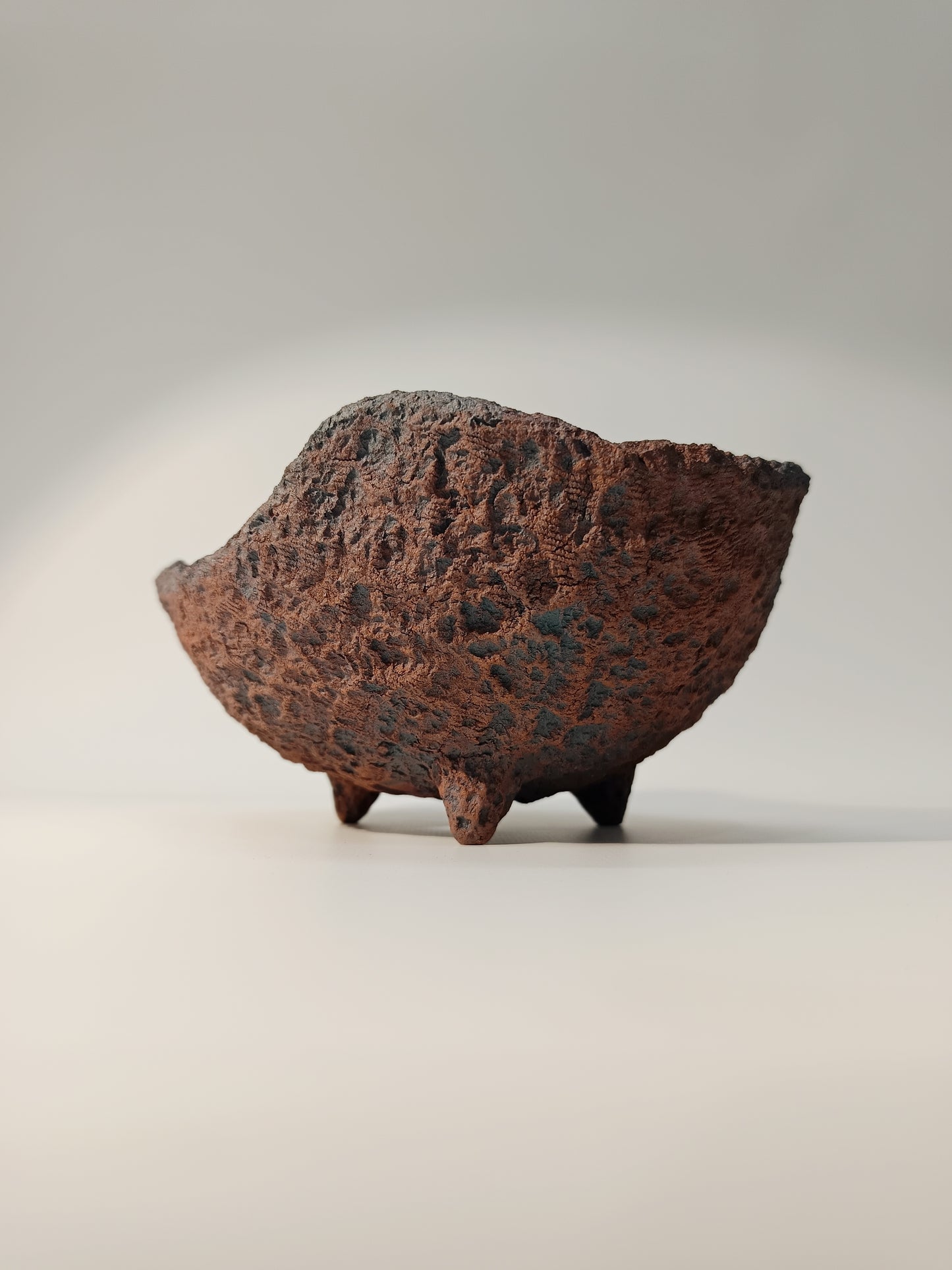 Maceta Bonsái ·Kusamono MRZ250010