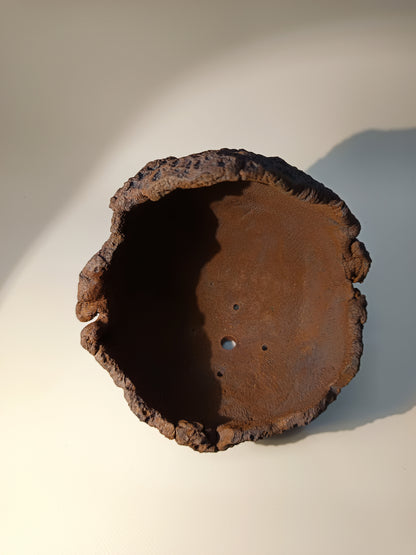 Maceta Bonsái MRZ250011