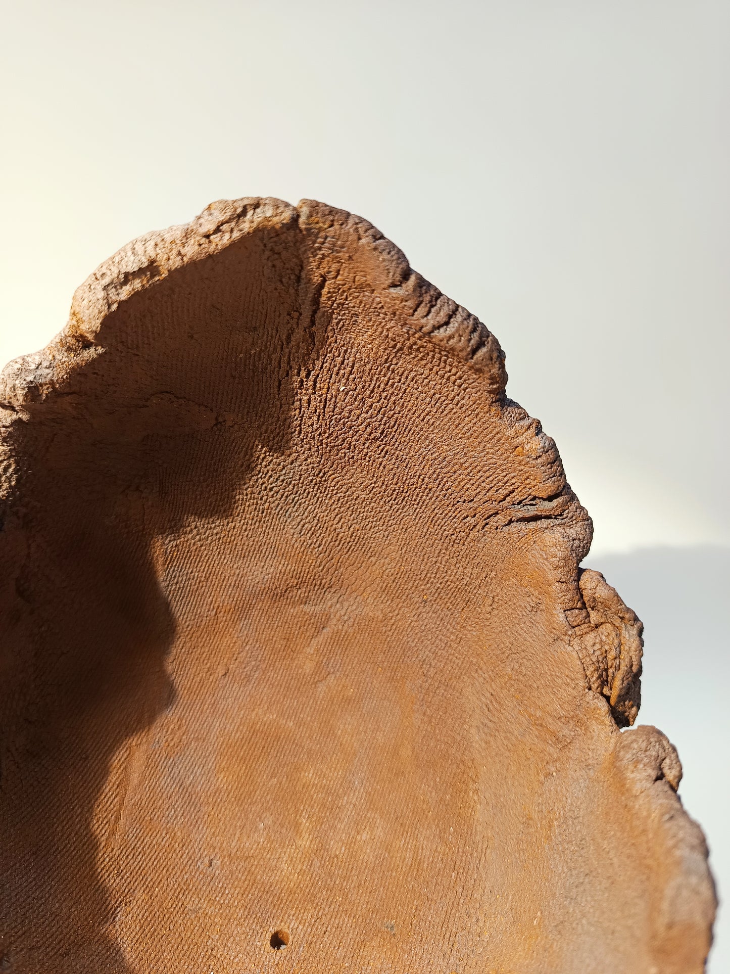 Maceta Bonsái MRZ250011