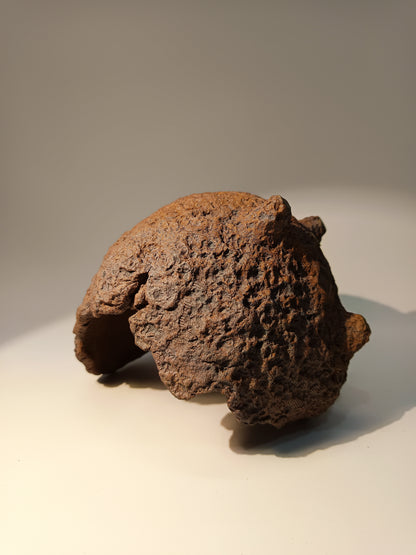 Maceta Bonsái MRZ250011