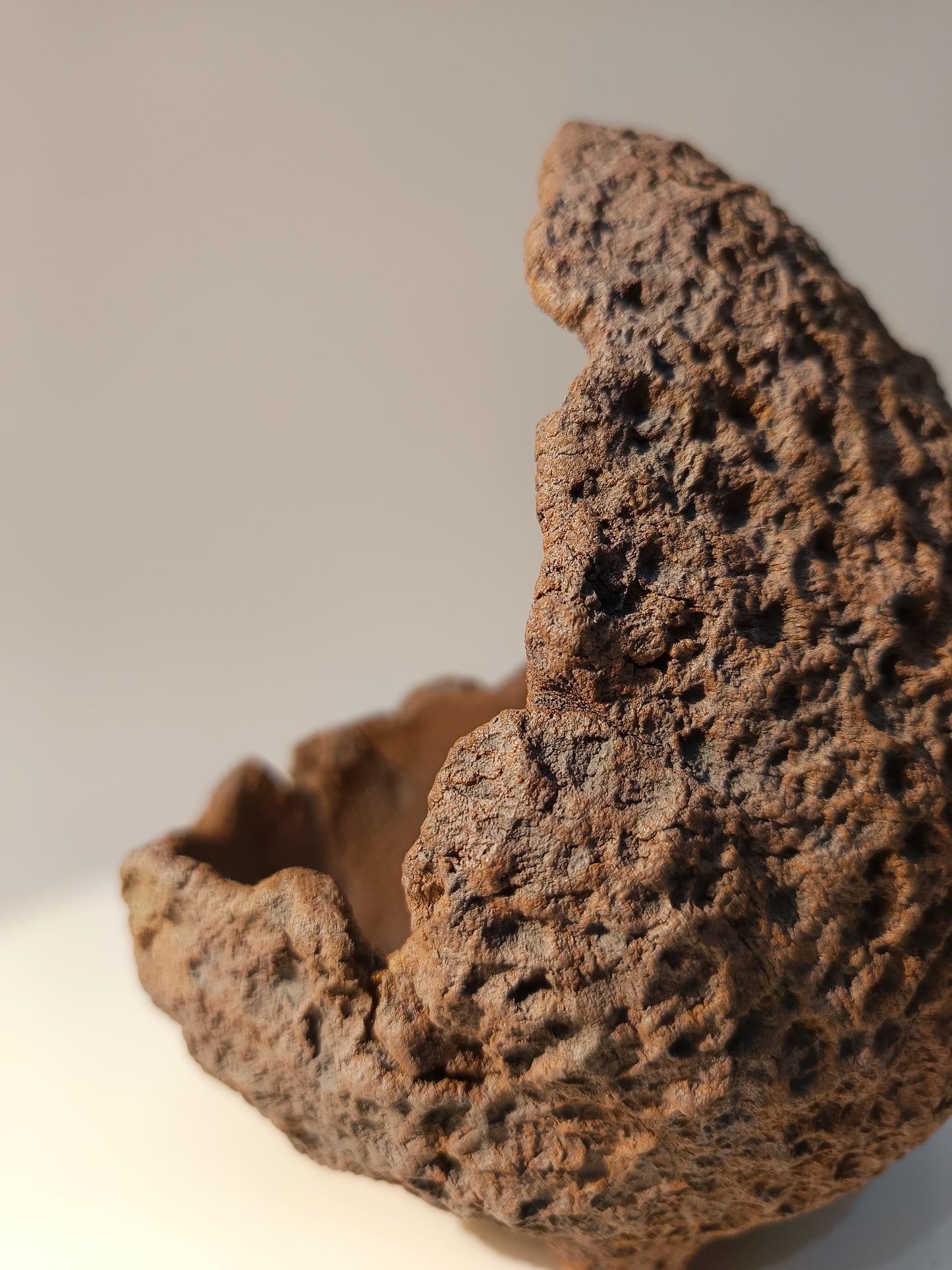 Maceta Bonsái MRZ250011