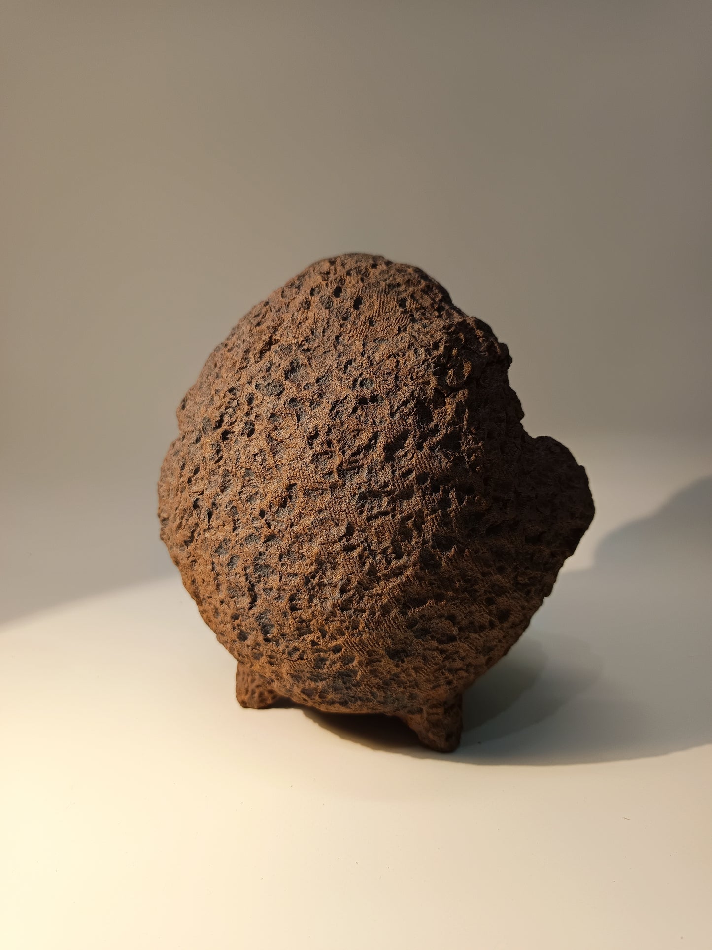 Maceta Bonsái MRZ250011