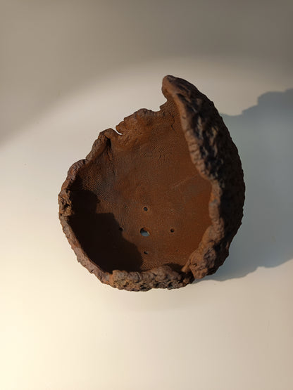 Maceta Bonsái MRZ250011