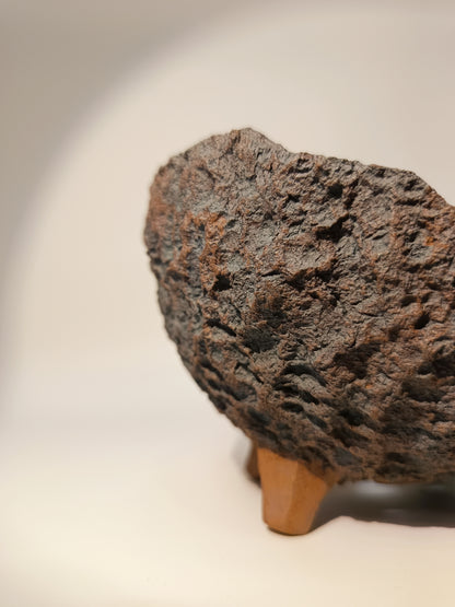 Maceta Bonsái ·Kusamono MRZ250018