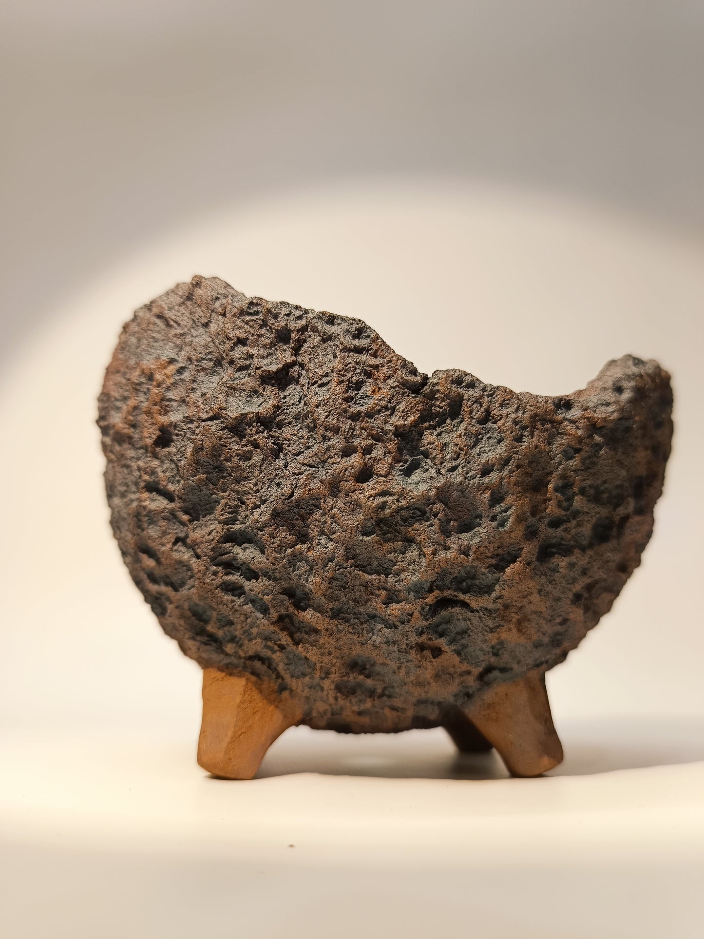 Maceta Bonsái ·Kusamono MRZ250018