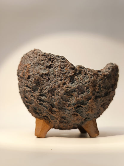 Maceta Bonsái ·Kusamono MRZ250018