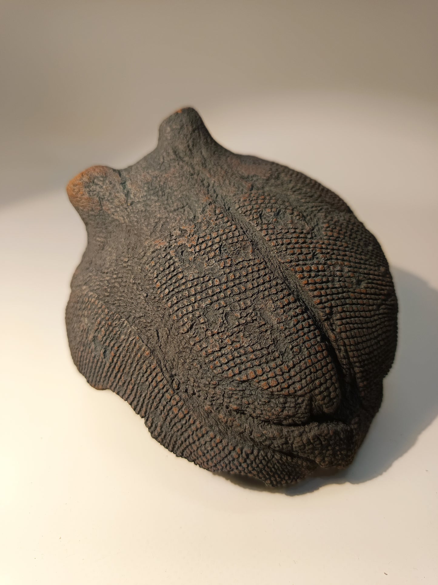 Maceta Bonsái ·Kusamono ABR250004