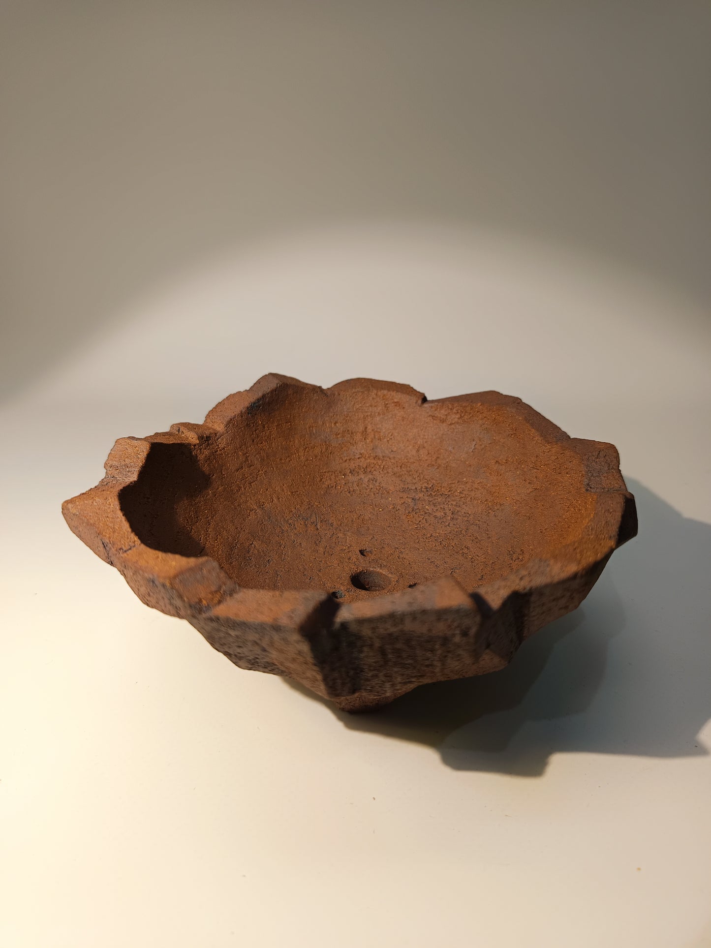 Maceta Bonsái ·Kusamono ·Kactus ·Suculentas ABR250005