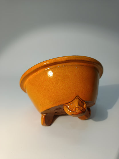 Maceta Bonsái ·Kusamono ·Kactus ·Suculentas ABR250006