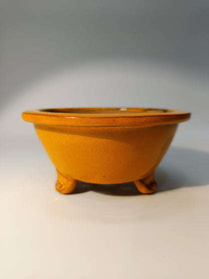 Maceta Bonsái ·Kusamono ·Kactus ·Suculentas ABR250006