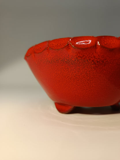 Maceta Bonsái ·Kusamono ·Kactus ·Suculentas ABR250007