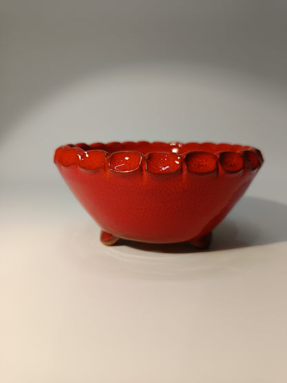 Maceta Bonsái ·Kusamono ·Kactus ·Suculentas ABR250007