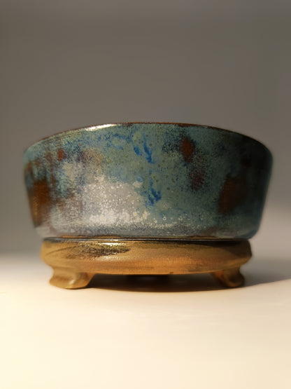 Maceta Bonsái ·Kusamono ·Kactus ·Suculentas ABR250009