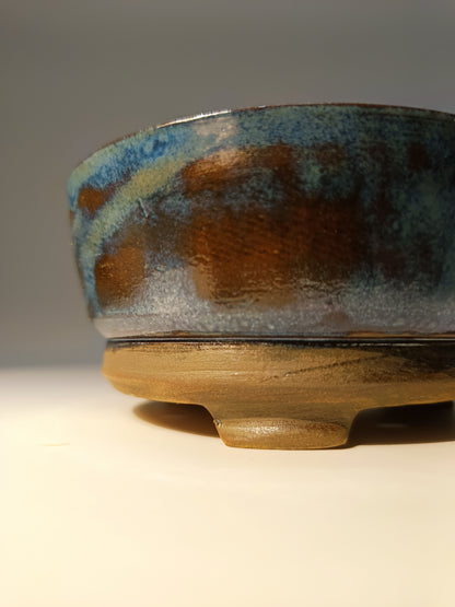 Maceta Bonsái ·Kusamono ·Kactus ·Suculentas ABR250009