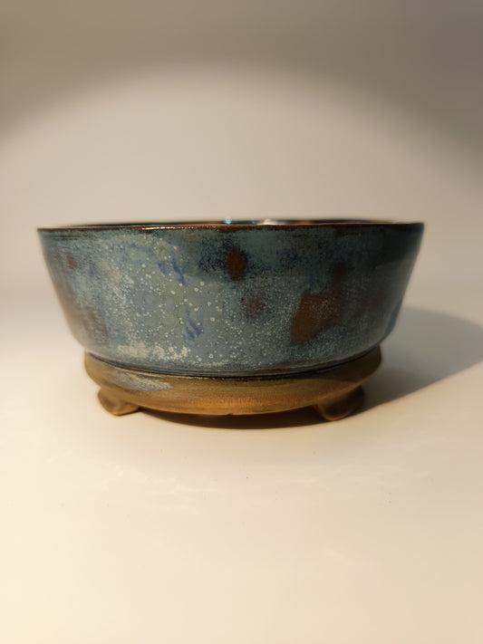 Maceta Bonsái ·Kusamono ·Kactus ·Suculentas ABR250009