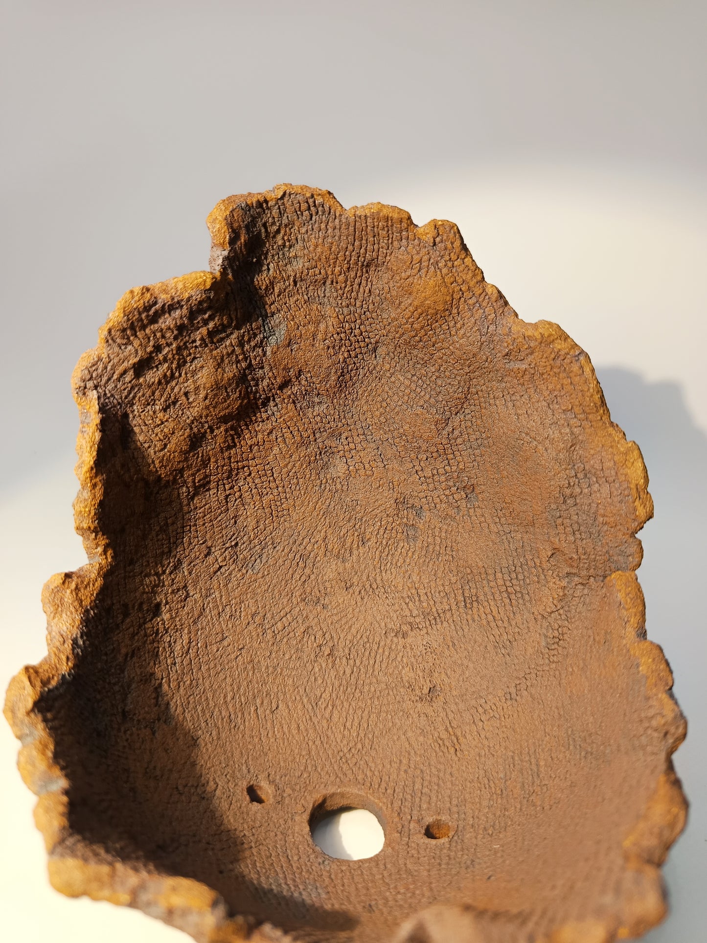 Maceta Kurama Bonsái ABR250011