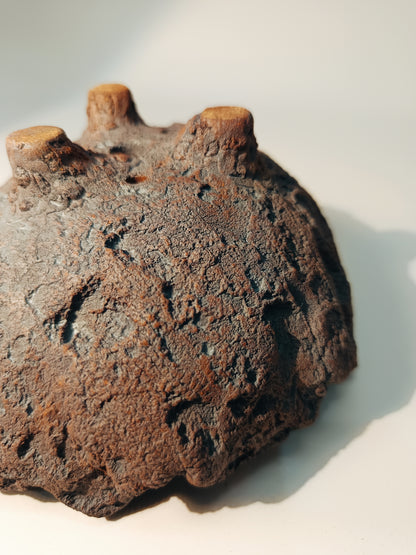 Maceta tipo Kurama ABR250013