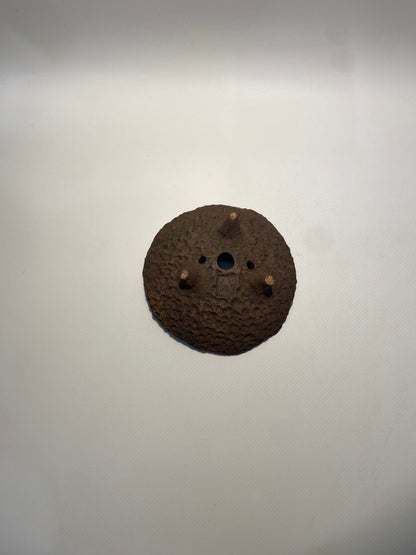 Maceta bonsái kurama