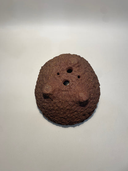 Maceta bonsái kurama