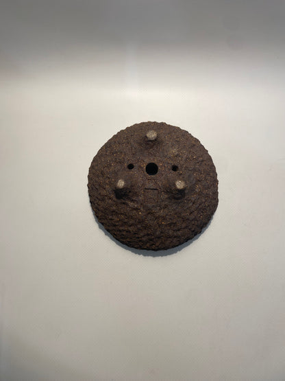 Macetas bonsái kurama