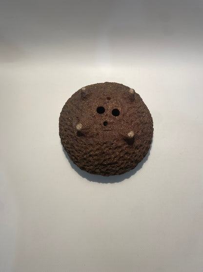 Maceta bonsái kurama