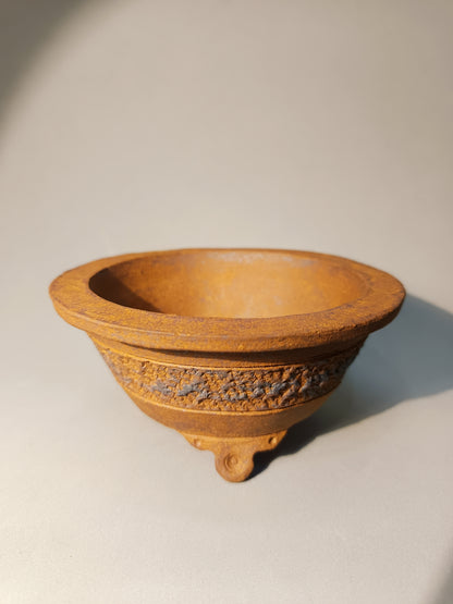 Maceta Bonsái · Kusamono MRZ250001