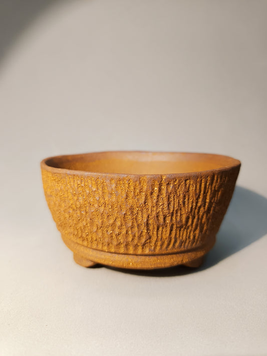 Maceta Bonsái · Kusamono MRZ250002