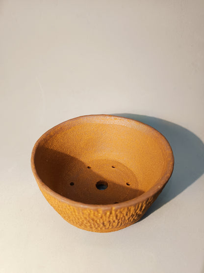 Maceta Bonsái · Kusamono MRZ250002