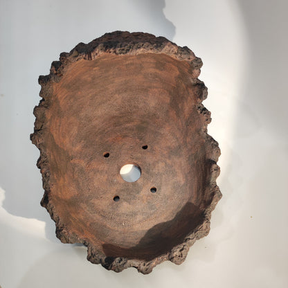 Maceta Bonsái Kurama