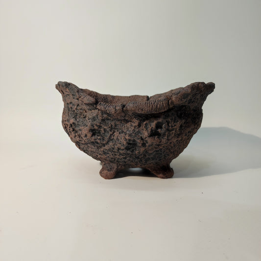 Maceta Bonsái Kurama