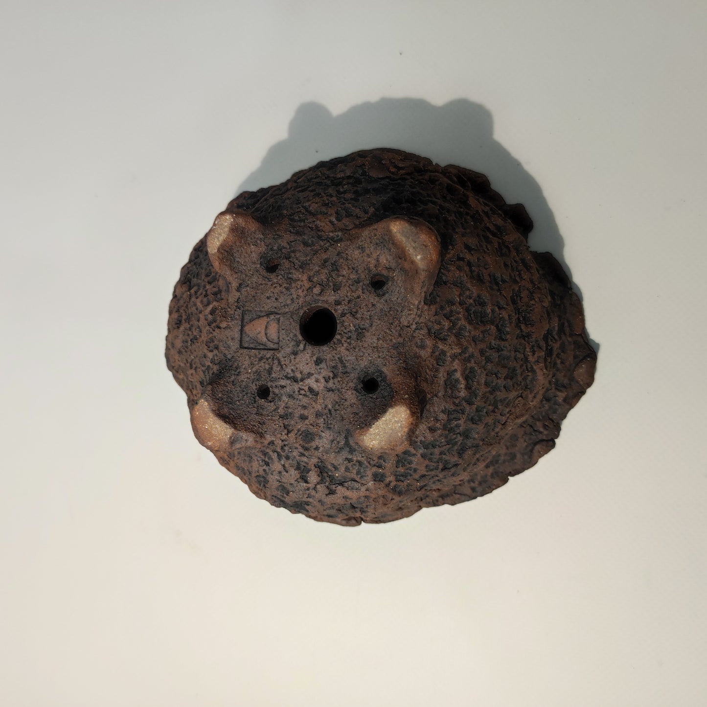 Maceta Bonsái Kurama