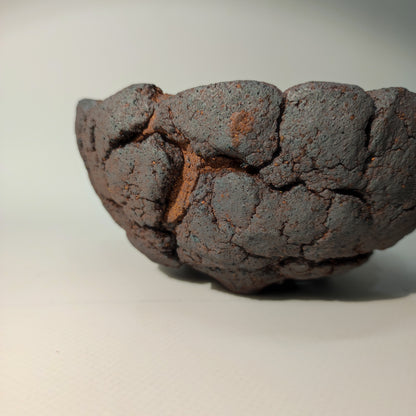 Maceta bonsái kurama