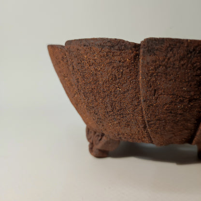 Maceta Bonsái Cerámica