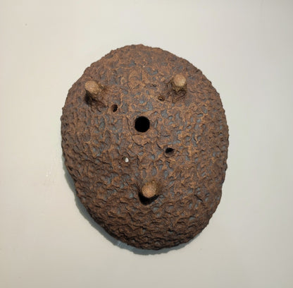 Maceta bonsái kurama