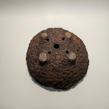 Maceta bonsái kurama