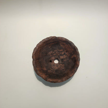 Maceta bonsái kurama